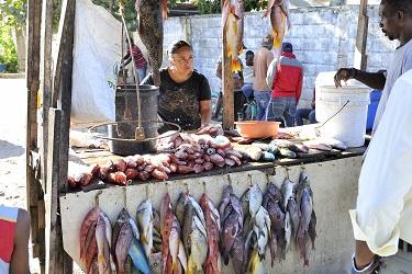 fish_market