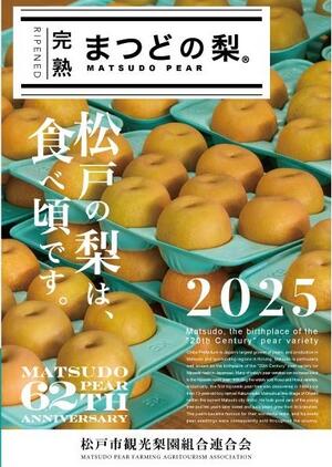matsudonashi paper