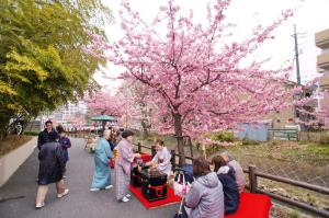 桜を楽しむ人々