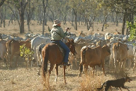 horseback