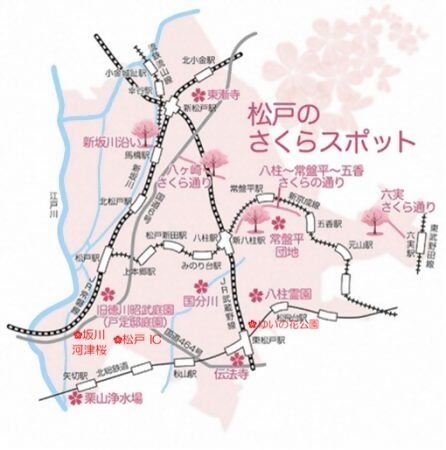松戸のさくらの名所マップ