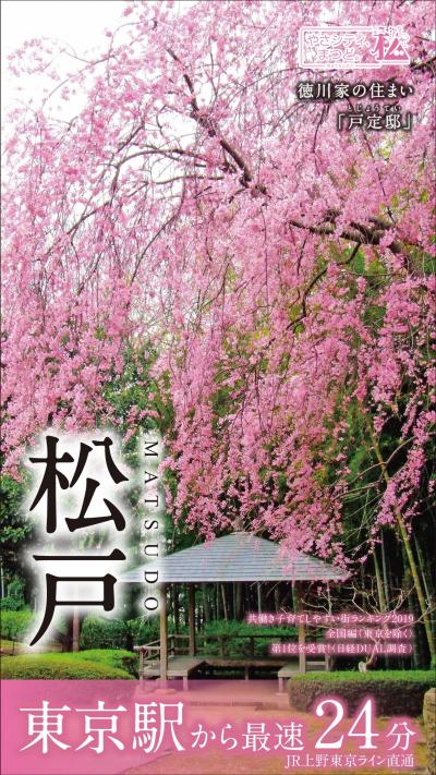東京駅サイネージの桜の画像
