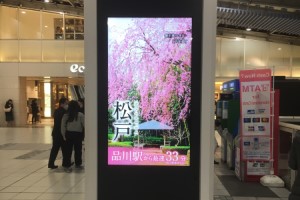 2019年の桜ポスター