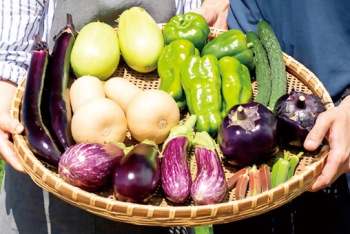 嶋根農園の採れたて野菜