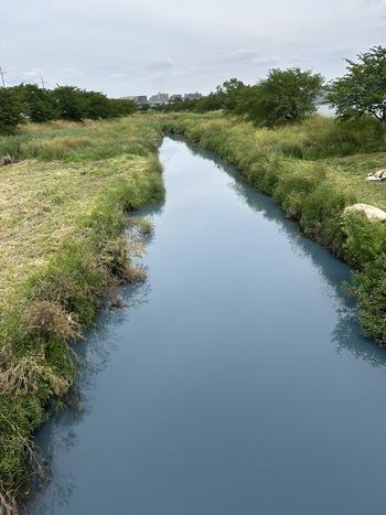 河川を着色水が流れている様子