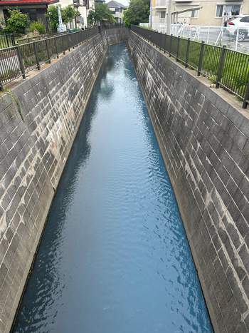 水路を着色水が流れている様子