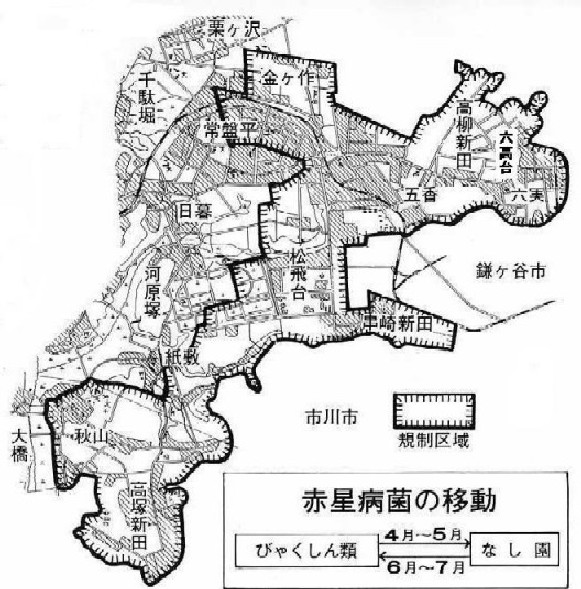 市内の一部は「びゃくしん類」の植栽規制区域になっていますの画像