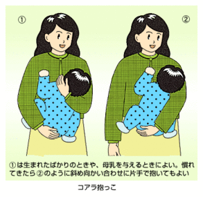 赤ちゃんの抱っこの仕方のイラスト