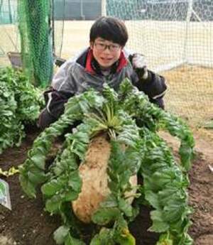 優勝した桜島大根と生徒の画像