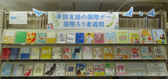 展示画像