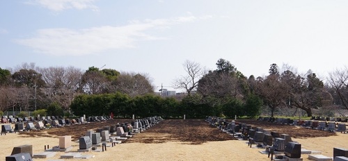 東京都立八柱霊園の焼損した芝生の様子