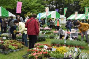 緑と花のフェスティバル2022の花の苗の販売写真