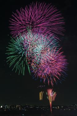 夜空に咲く花火の写真