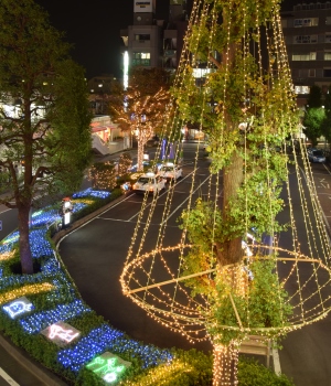 北小金駅周辺のイルミネーションの写真1