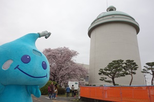 栗山桜まつり画像1