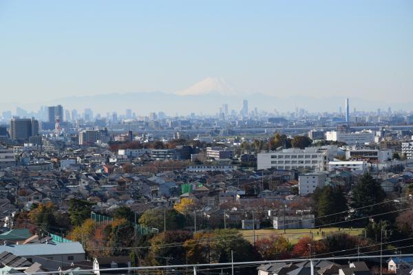 ヘリポートからの眺め・富士山