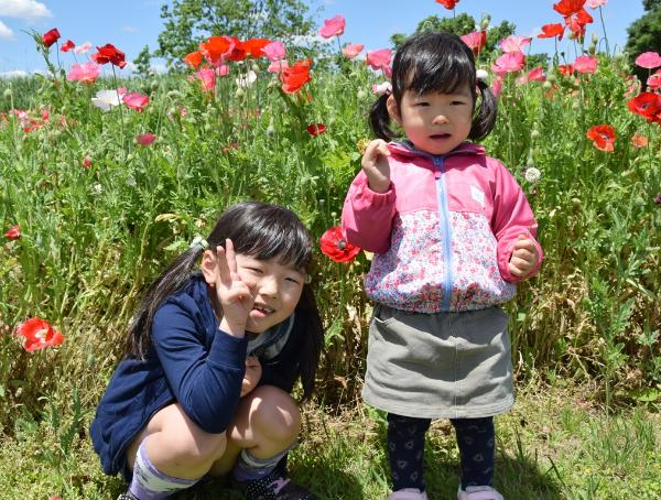 ポピーの前でピースする子ども