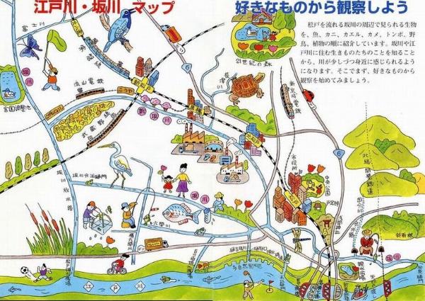 江戸川・坂川生き物マップ