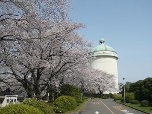 配水塔とさくら