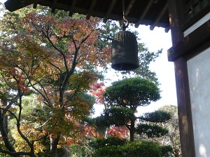 日照山 医王寺