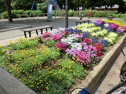 東平賀公園の花壇の写真