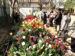 ひまわり公園の花壇写真