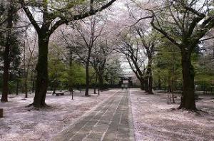 東漸寺