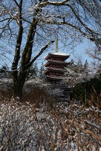 雪景色の本土寺写真