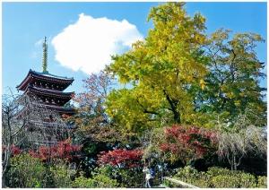 秋の空と色とりどりの紅葉、本土寺写真