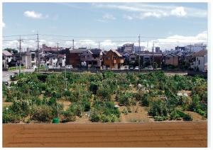 古ヶ崎の市民農園の写真