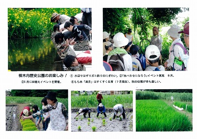 根木内歴史公園を楽しむ人々の写真