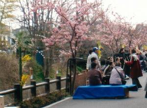 河津桜まつりで賑わう人々の写真