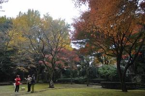 戸定邸の紅葉を楽しむ人々の写真