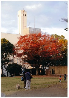 クリーンセンター外観と紅葉の写真