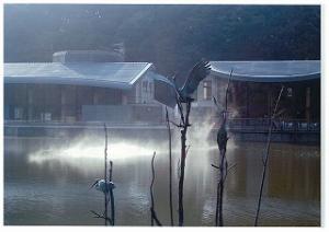 霧の中、水鳥が木に止まっている写真