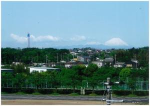 スカイツリーと富士山の写真