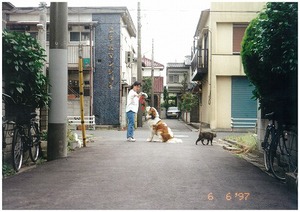 介助犬の大ちゃんの写真