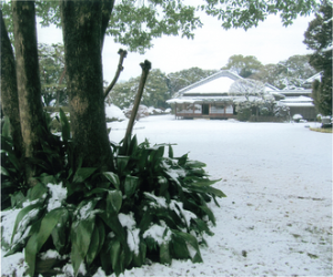 一面雪景色の戸定邸写真