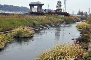 坂川親水広場のそばを流れる坂川