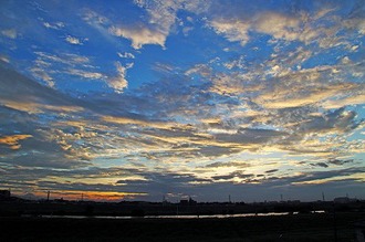 江戸川「水辺の健康ロード」の写真