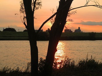 夏の日の夕景の写真