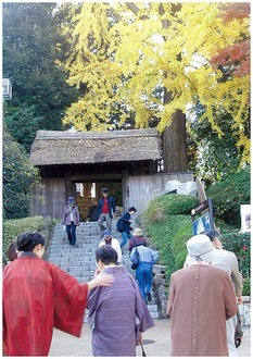 戸定が丘歴史公園の茅葺門の写真