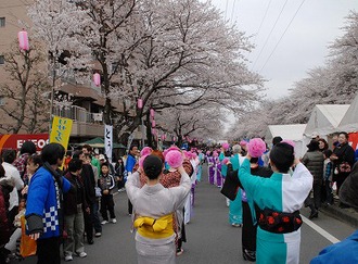 六実さくら通りの写真