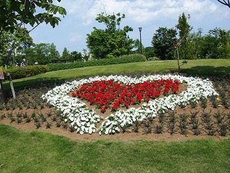 「東松戸ゆいの花公園」の写真