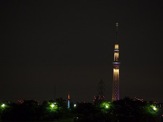 「江戸川土手から」の写真