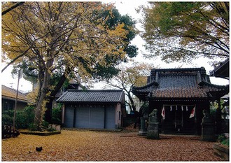 矢切神社の写真