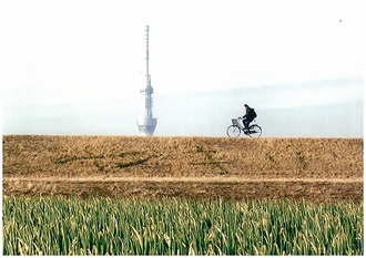 矢切ネギと東京スカイツリーの写真