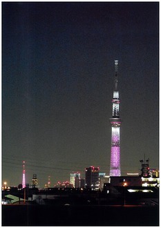 東京スカイツリーピンクライトアップの写真