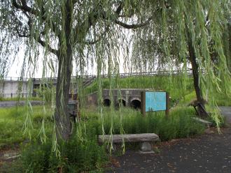 柳の木と柳原水閘の写真