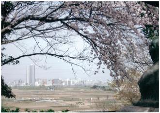 野菊苑展望台からの眺望写真